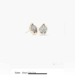 Kendra Scott Tessa earrings in slate cats eye